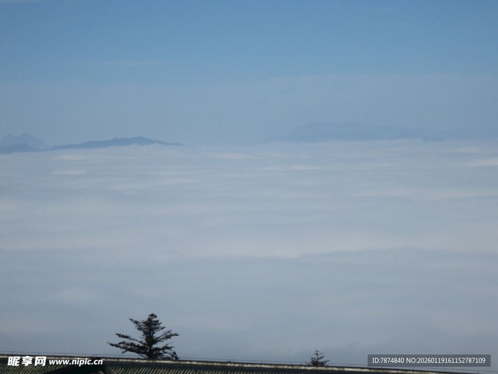 蓝天旷野中的孤树