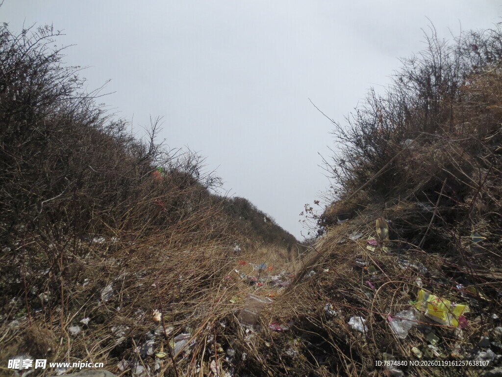 荒野中的杂草小径