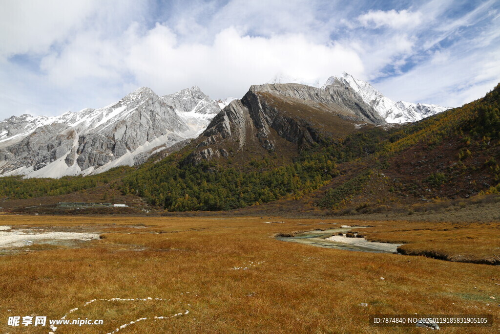 雪山下的广袤原野风光
