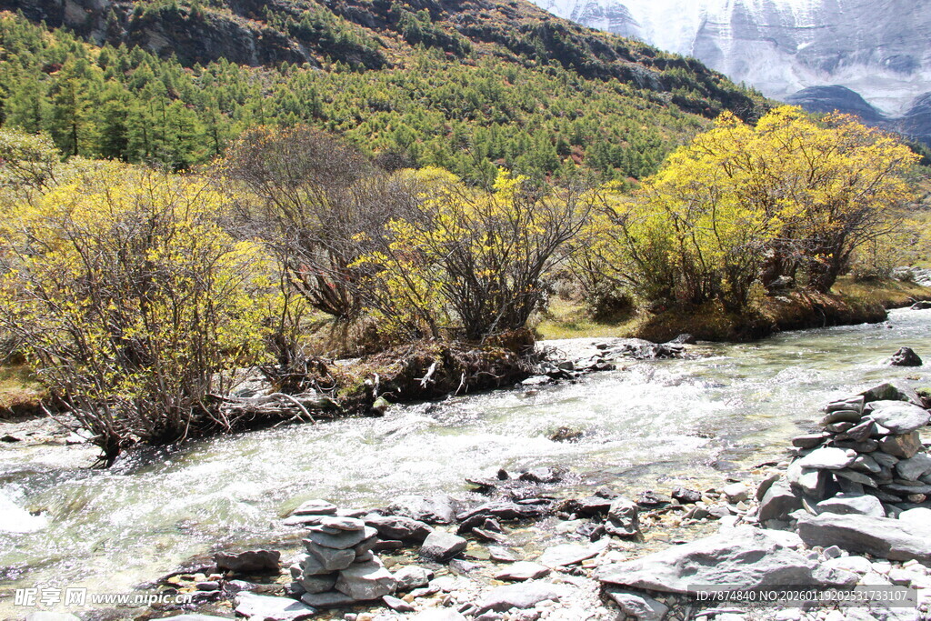 山间溪流旁的多彩树林