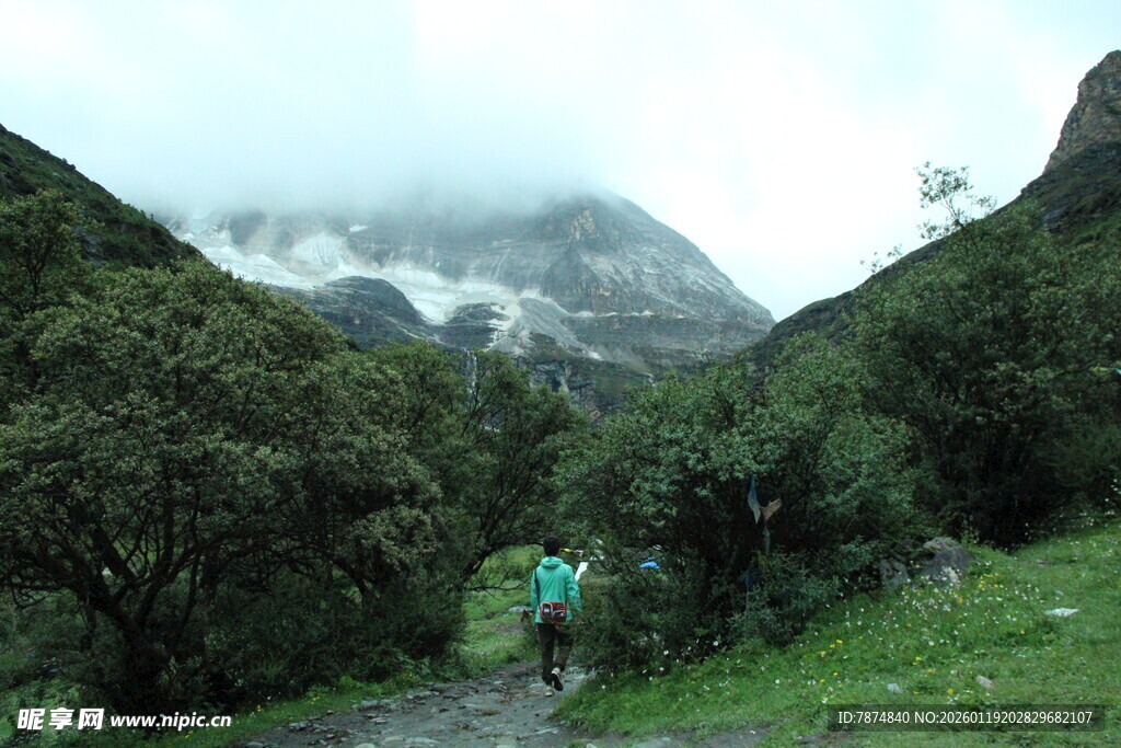 山间徒步者穿行葱郁山林