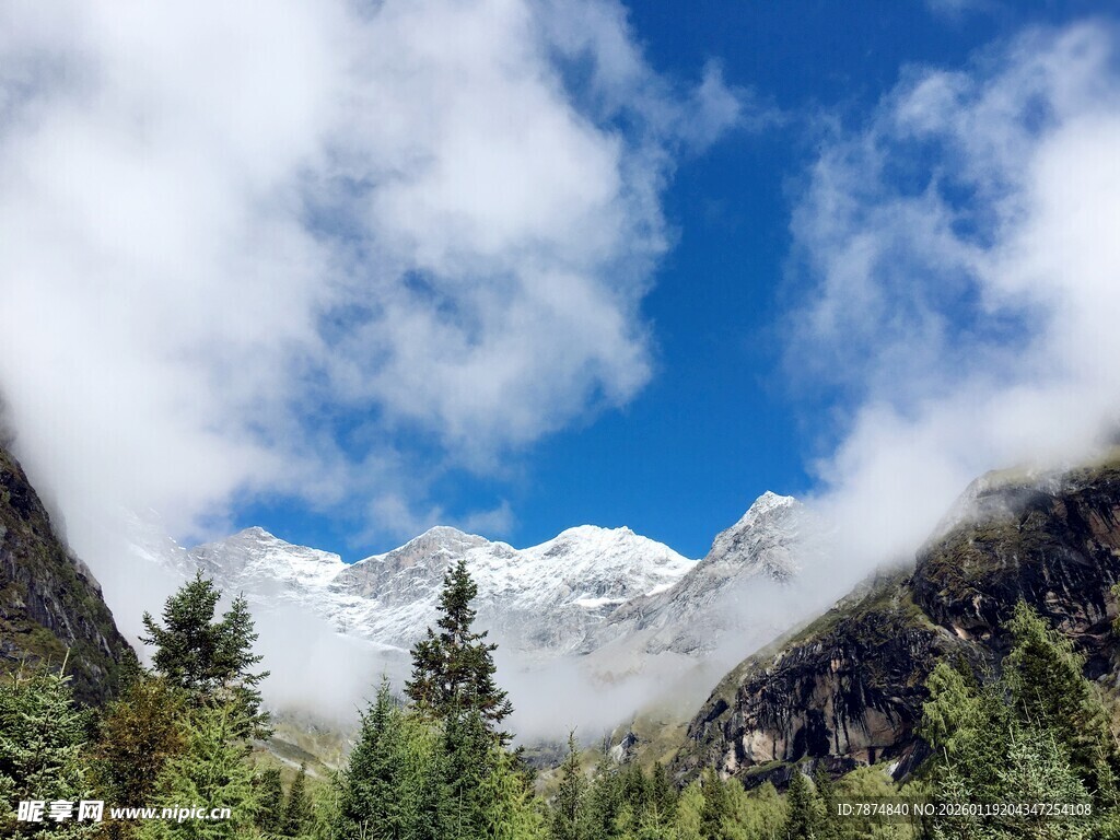 雪山云雾间的山林美景