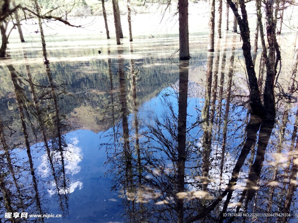 水浸树林 倒影如画