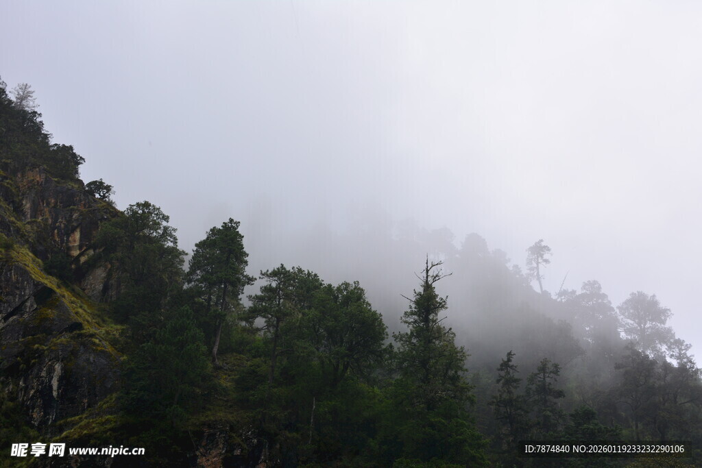 山林云雾缭绕的静谧景致 稻城