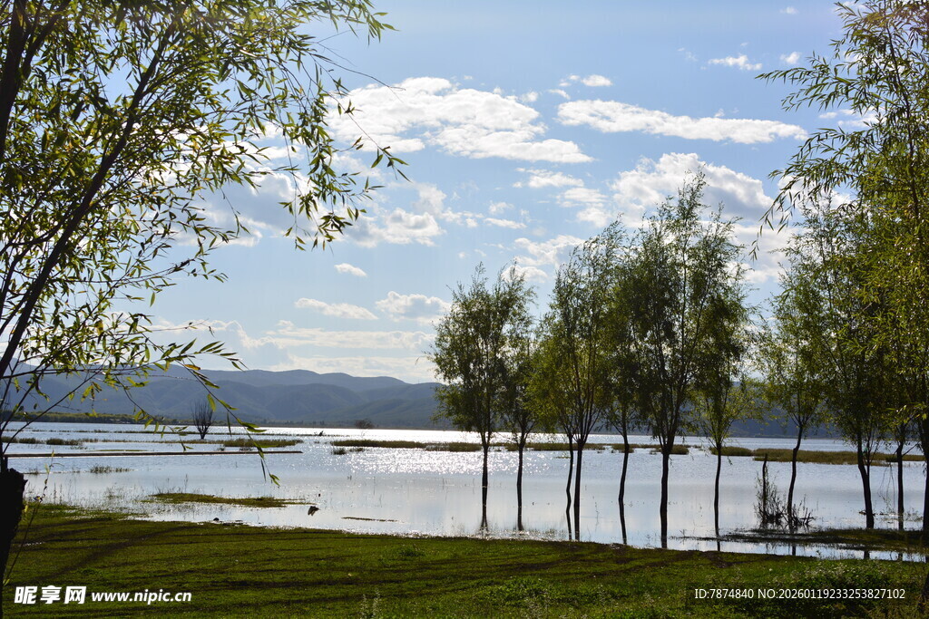 湖畔绿树成荫的美丽风光