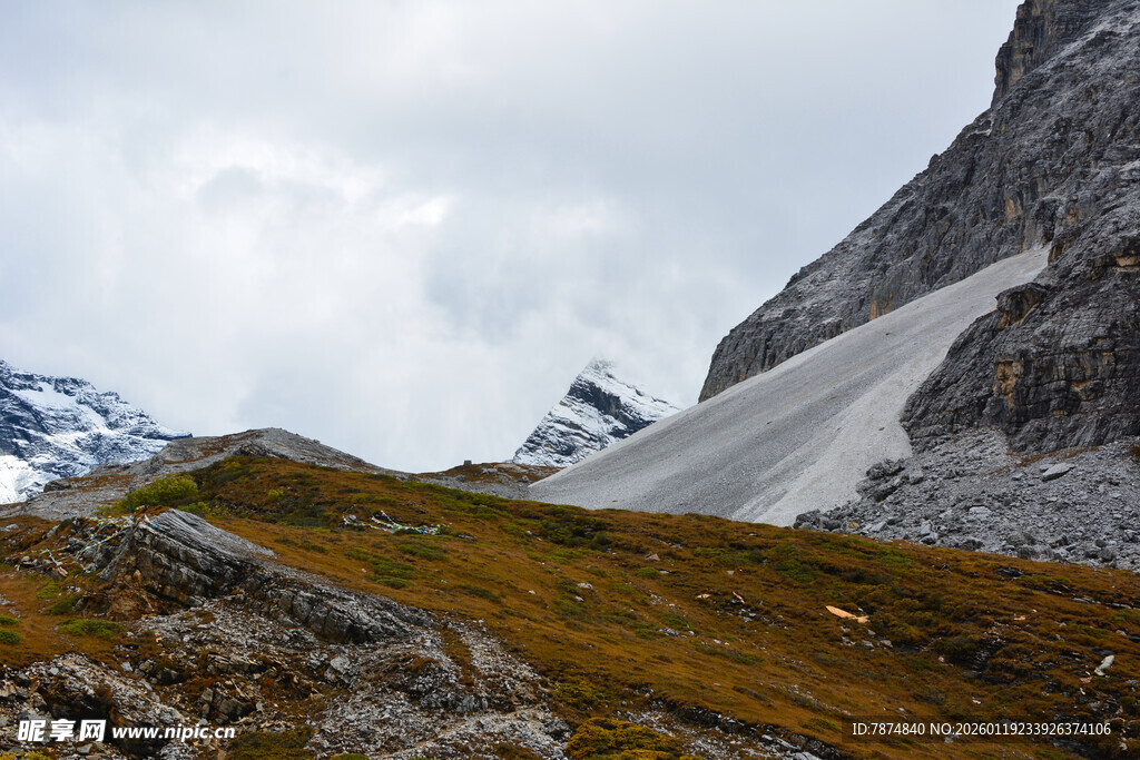 高山草甸与远处雪山景观