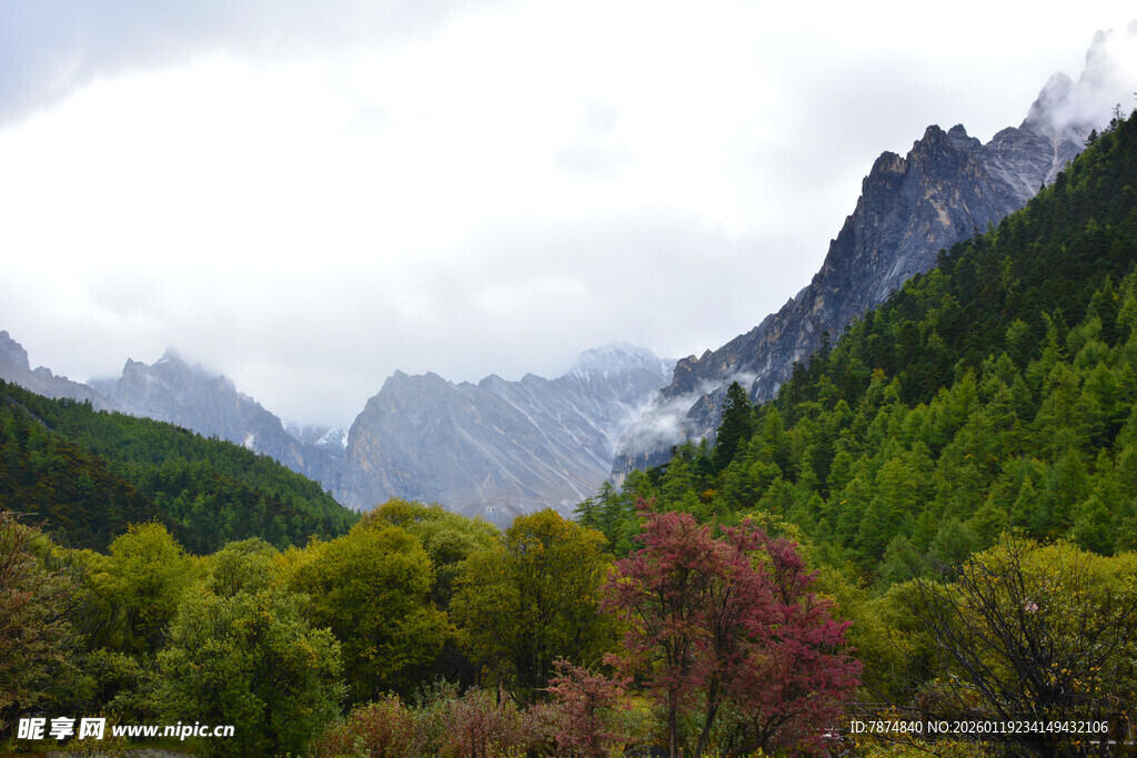 山林云雾间的秀丽景致 稻城
