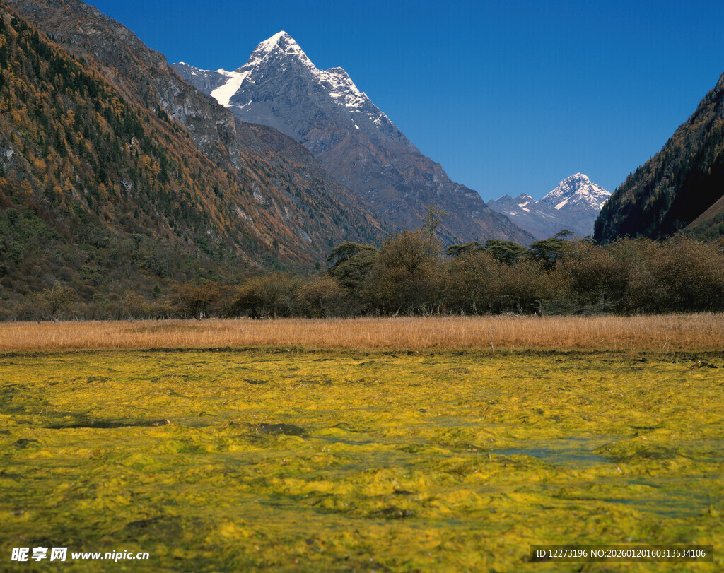 高山下的黄绿相间原野