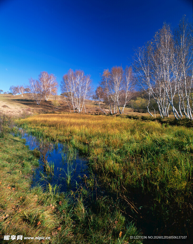 秋日湿地风光美景
