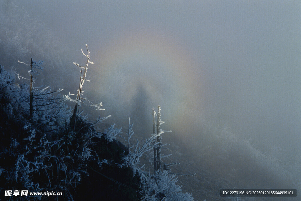 山间雾中现绚丽光晕