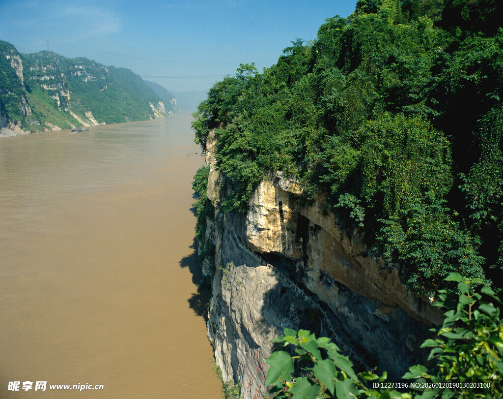 壮丽江畔悬崖绿植景观
