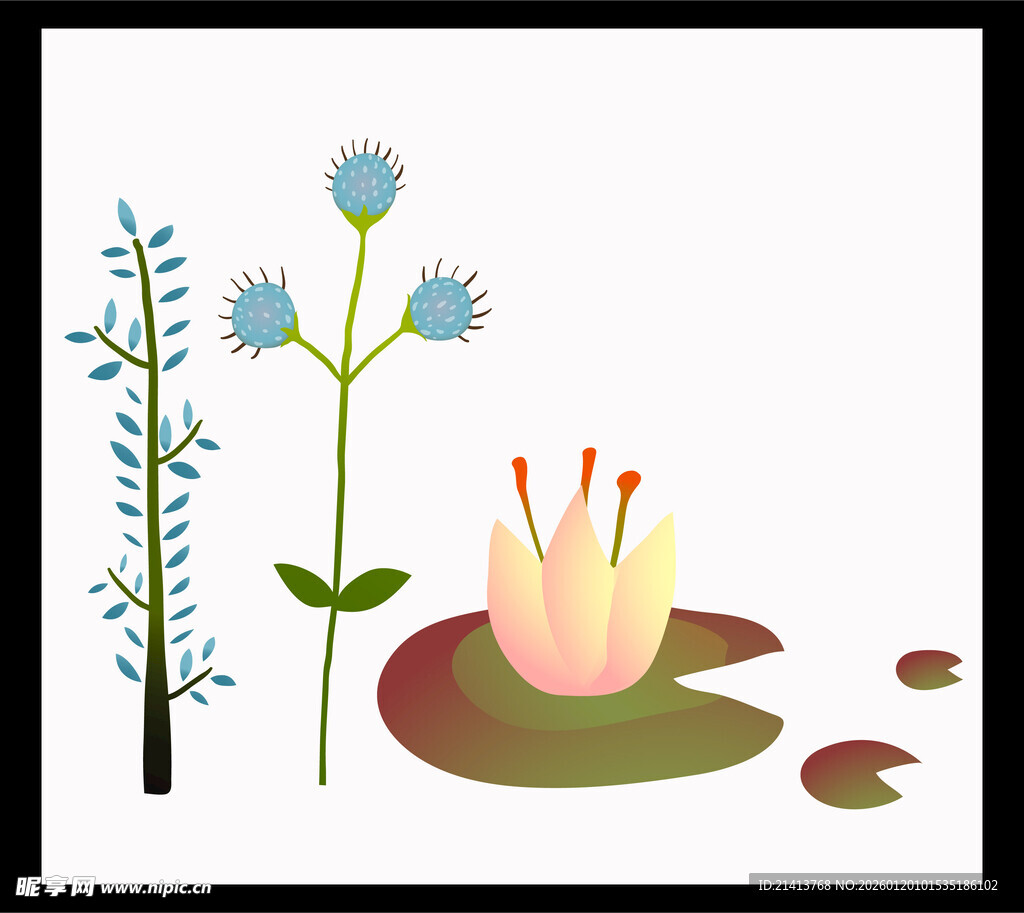 手绘植物花卉插画