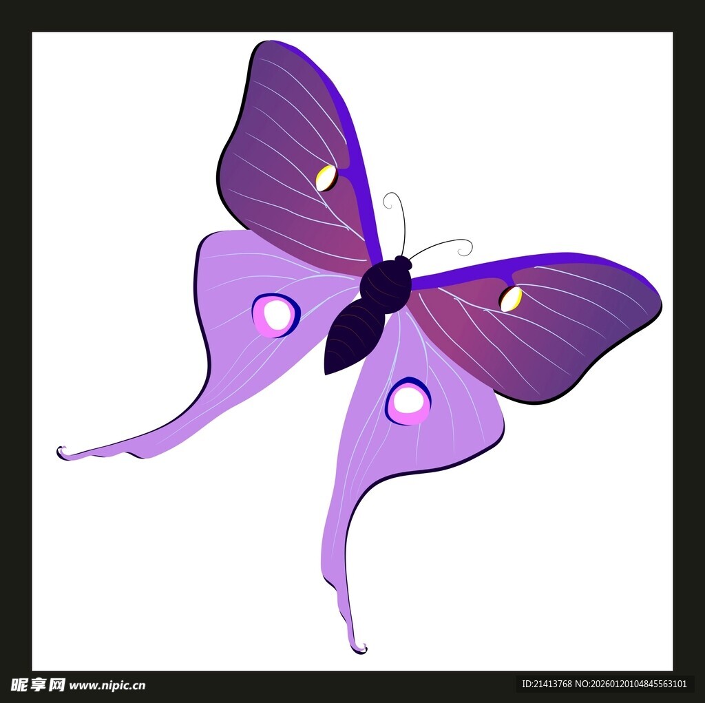 紫色梦幻长尾蝴蝶插画