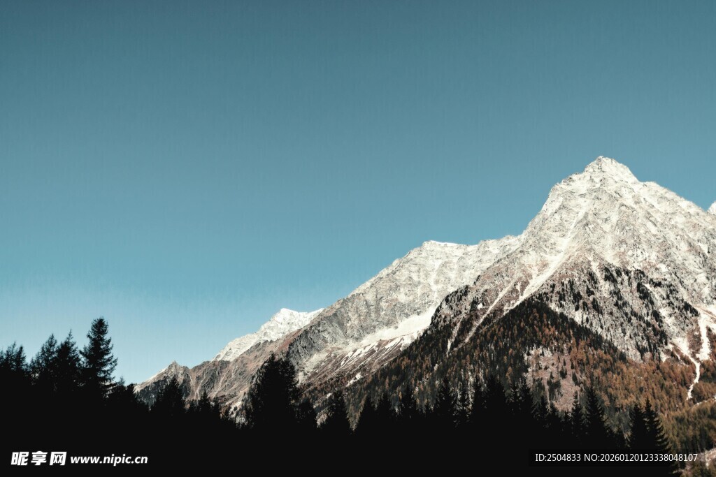 巍峨雪山与葱郁森林