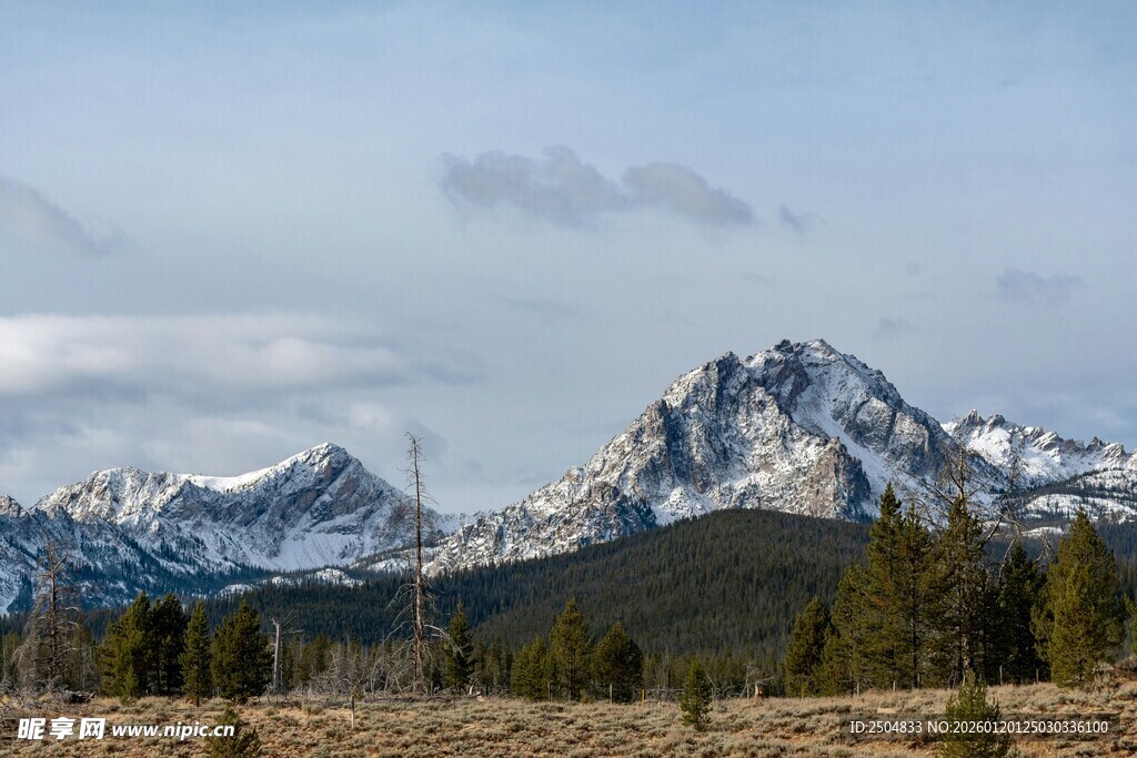 壮丽雪山与葱郁山林景观