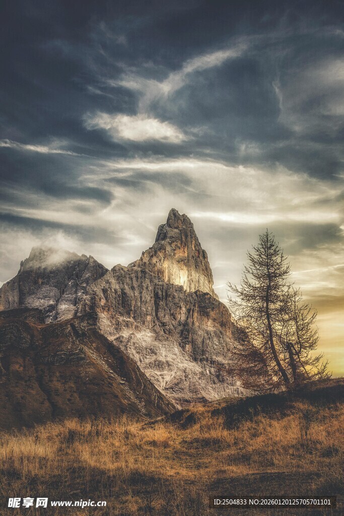 壮丽山景与孤树