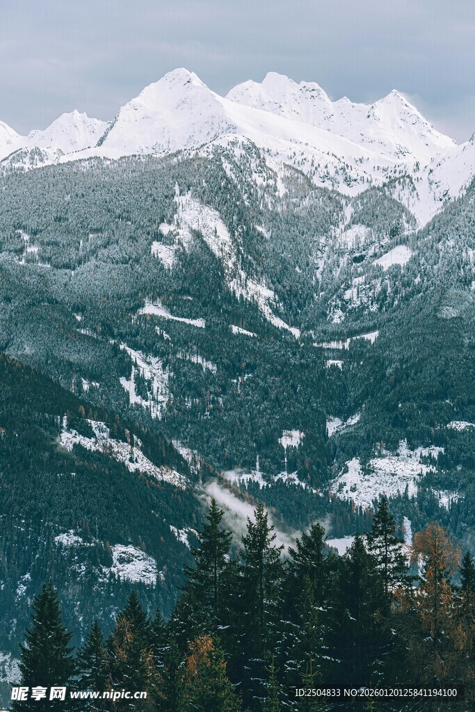 雪山森林美景
