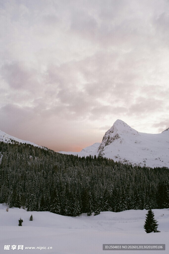 雪山暮色下的静谧森林
