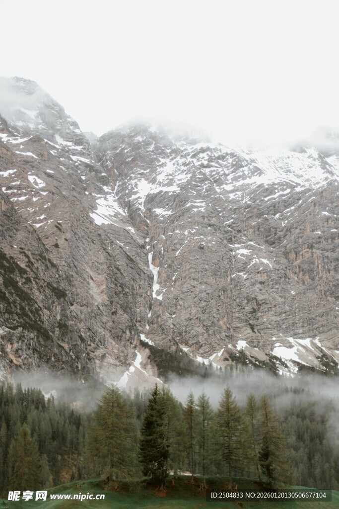 雪山湖泊旁的静谧森林