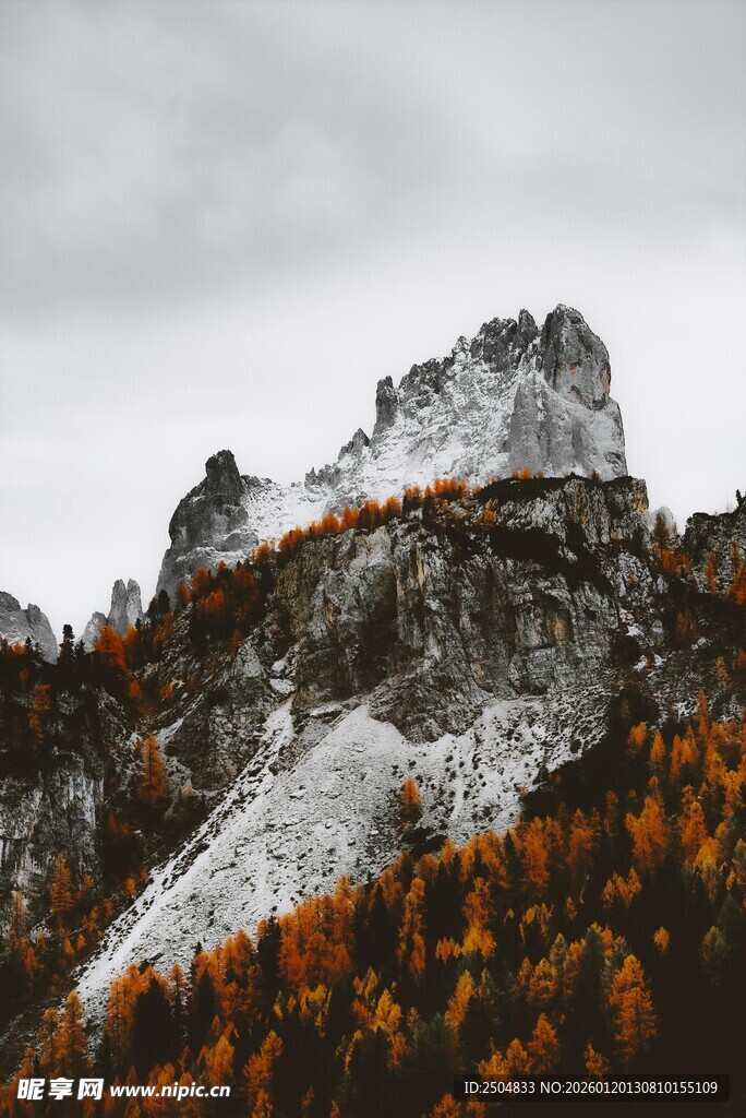 秋日雪山与斑斓树林景观