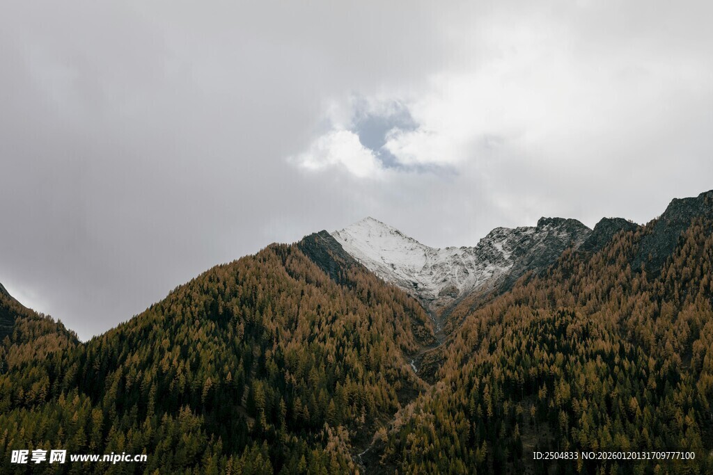 云雾缭绕的壮美山峦