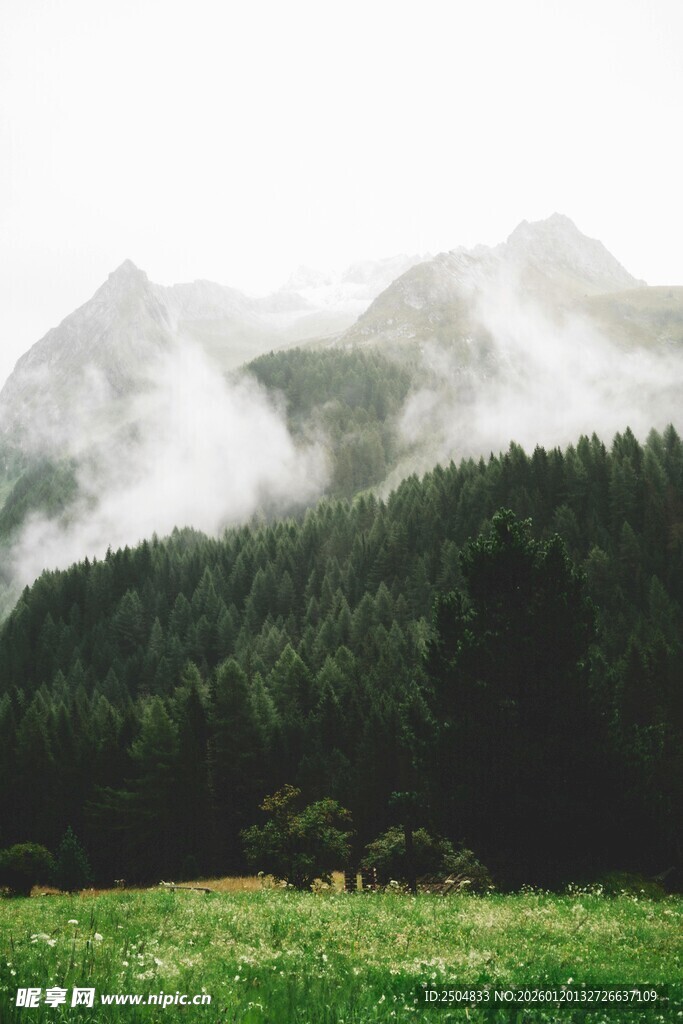 山间云雾缭绕的绿野风光