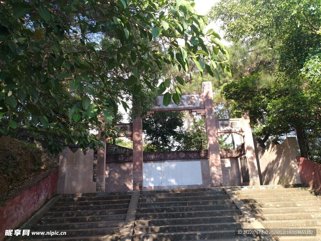 绿荫下的石阶小道