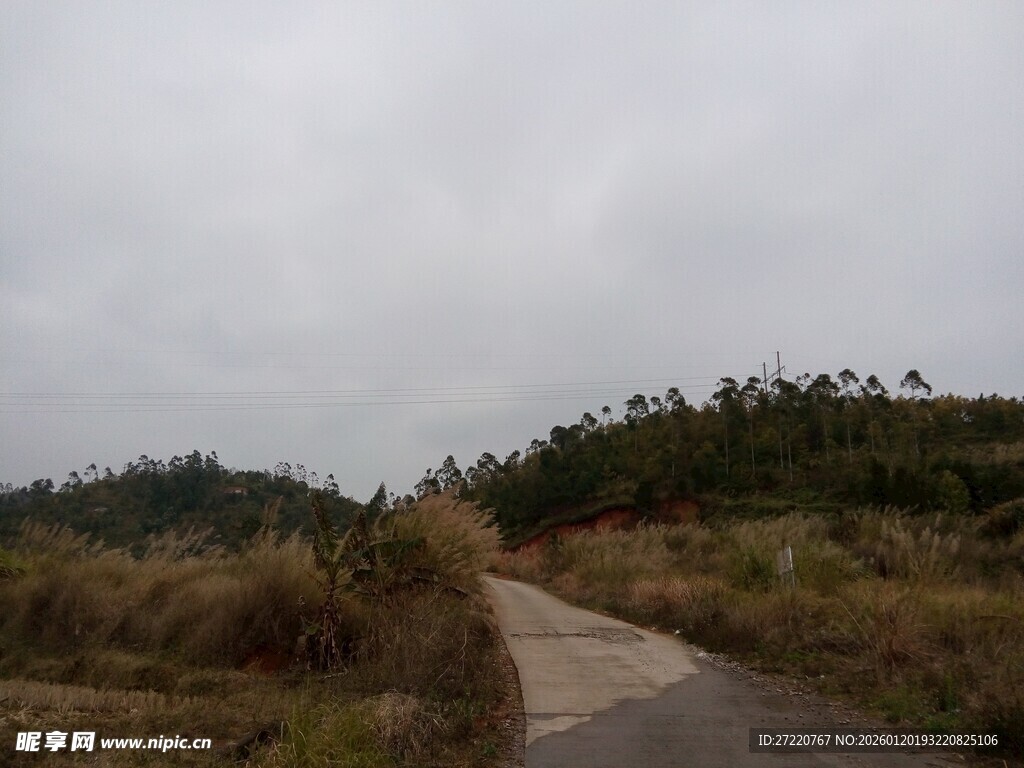 乡间小路 静谧自然之景