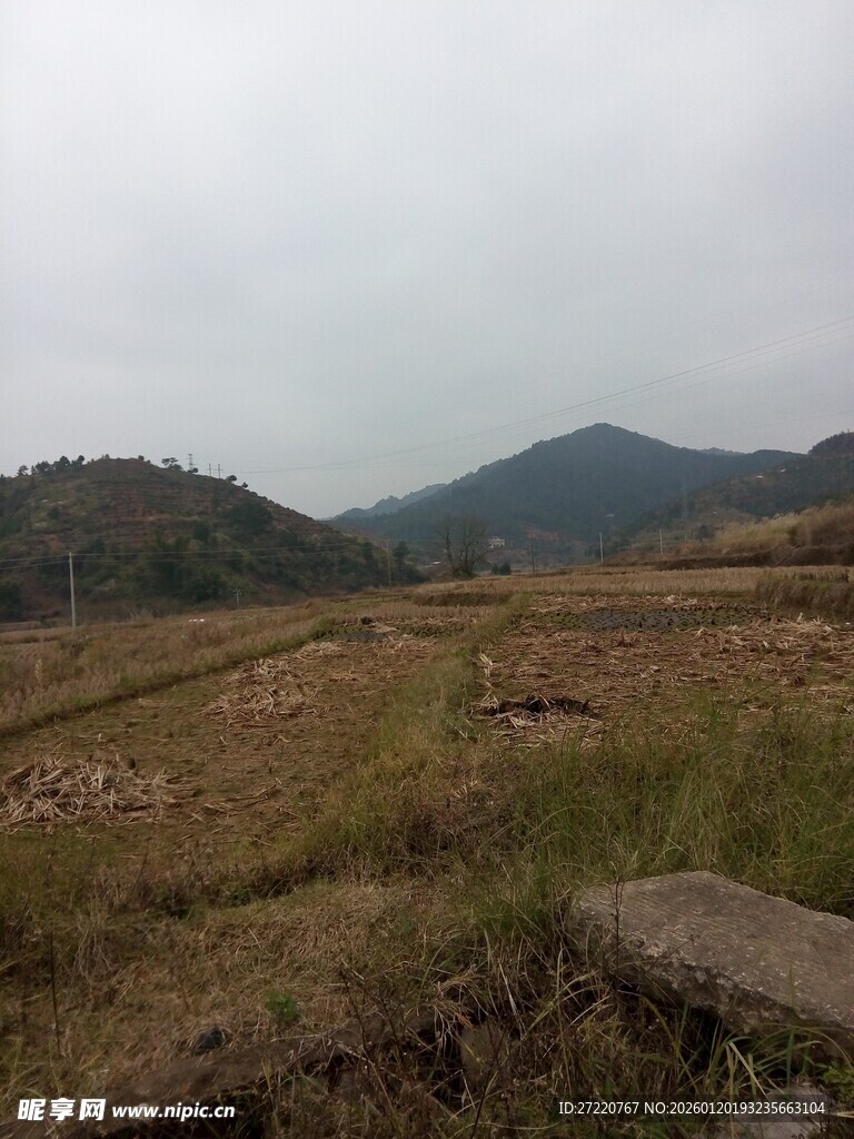 田野山峦间的开阔景致