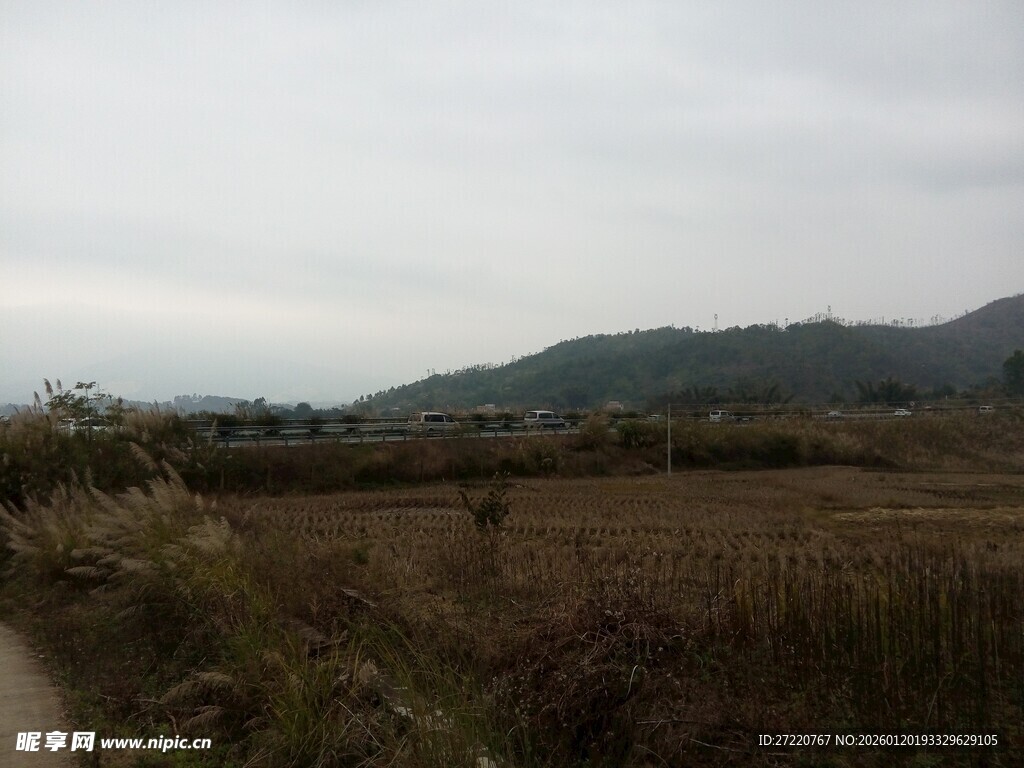 乡村田野间的宁静风光