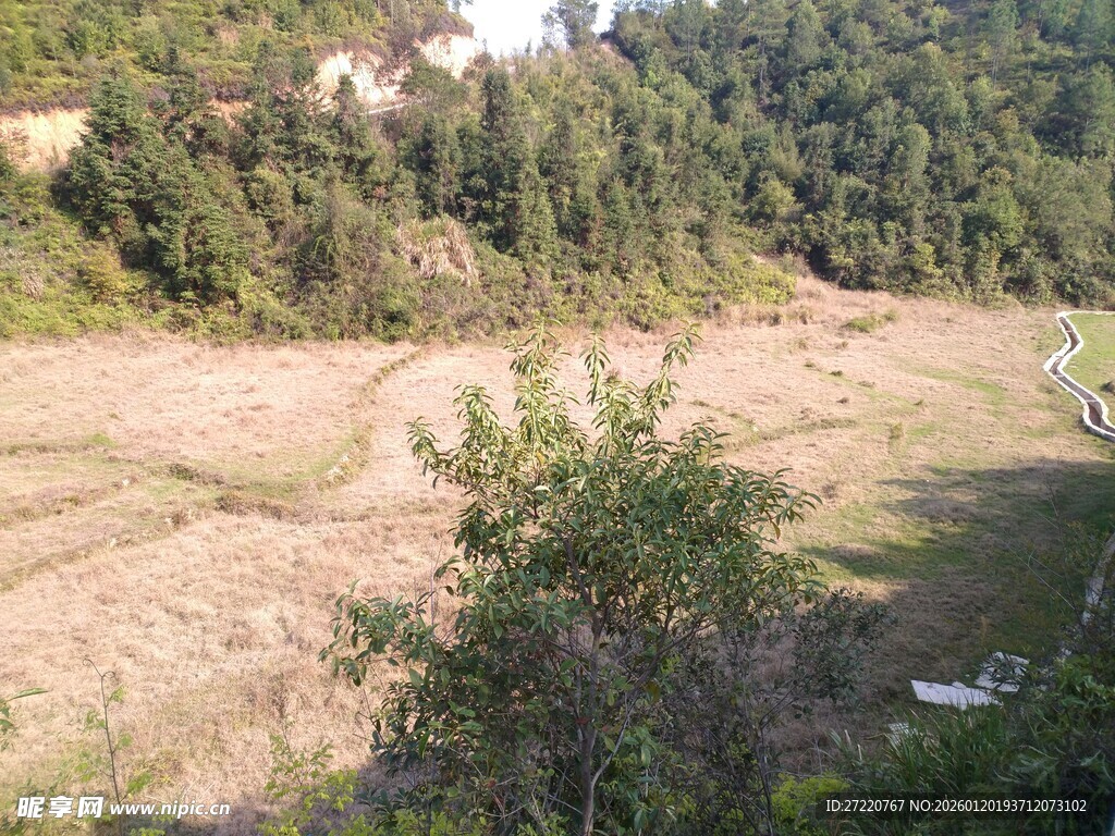 郊外开阔荒地与植被景观
