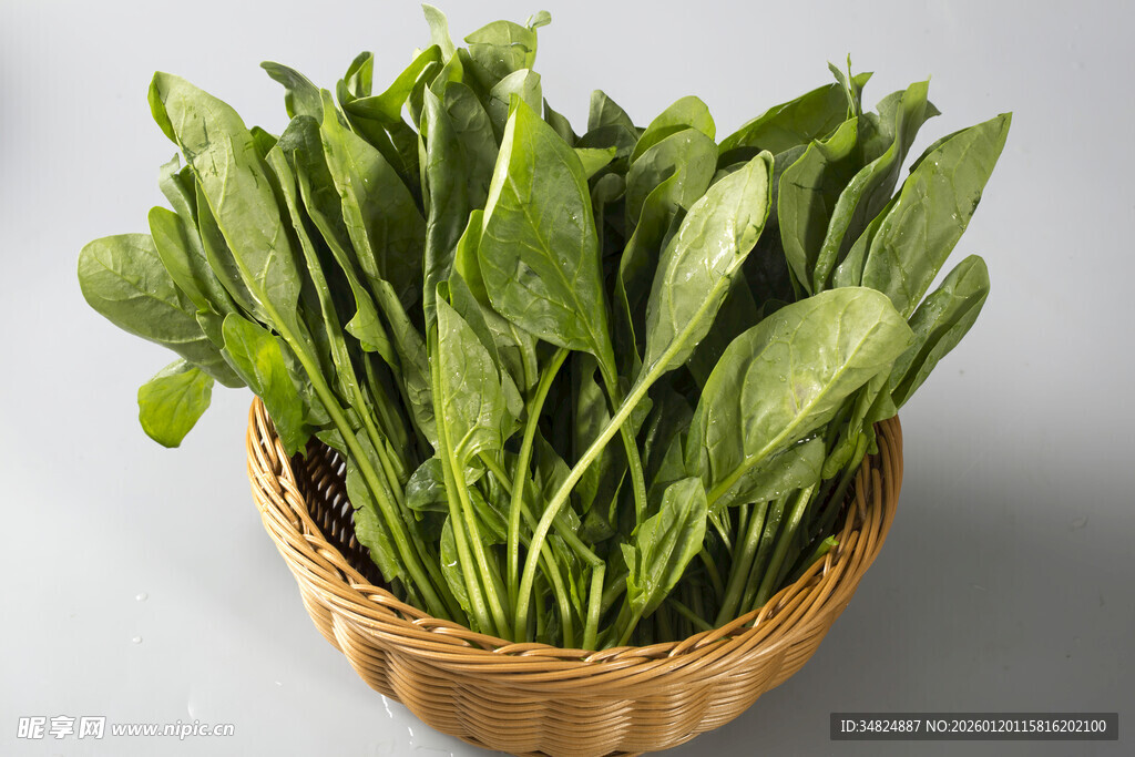 鲜嫩菠菜
