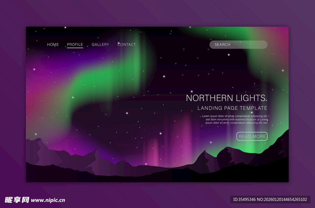 梦幻极光夜景网页设计图