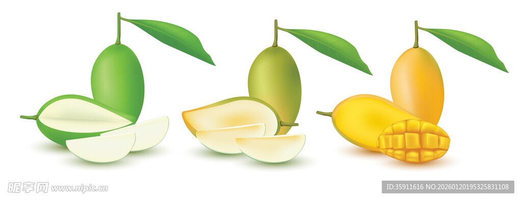 芒果插图