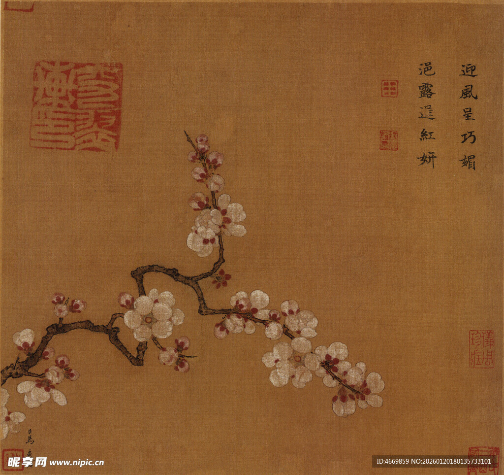 古画中的绽放梅花