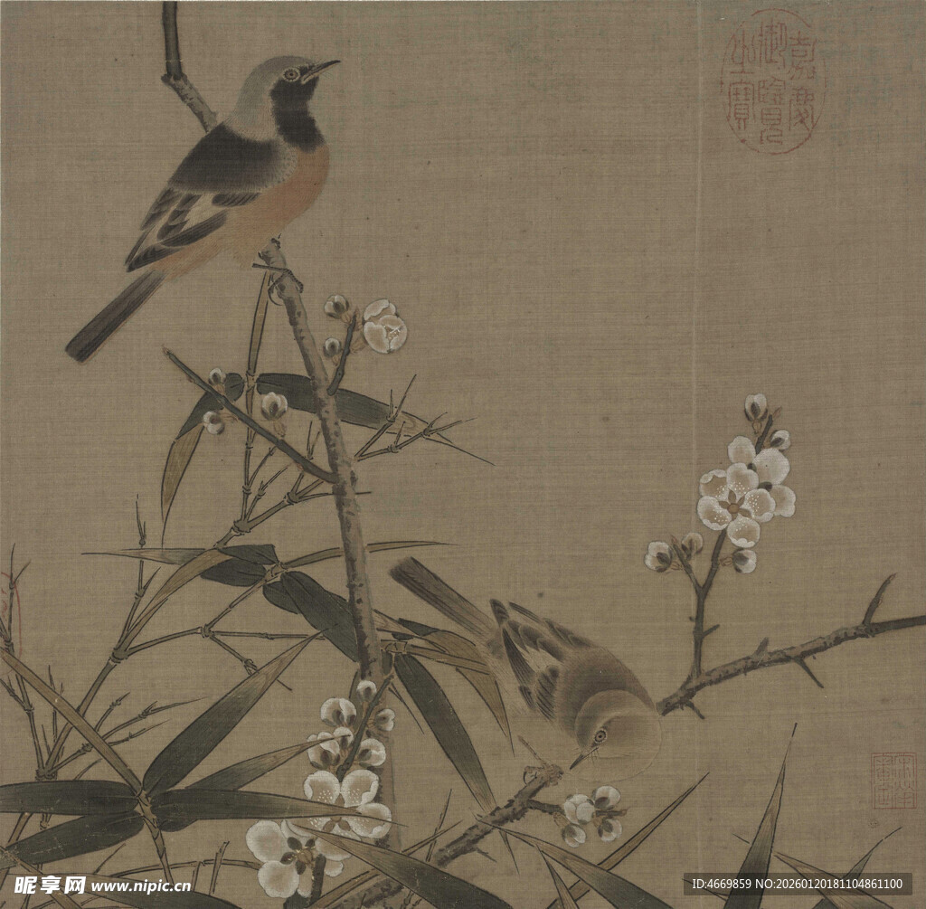 古画中枝头栖息的鸟儿