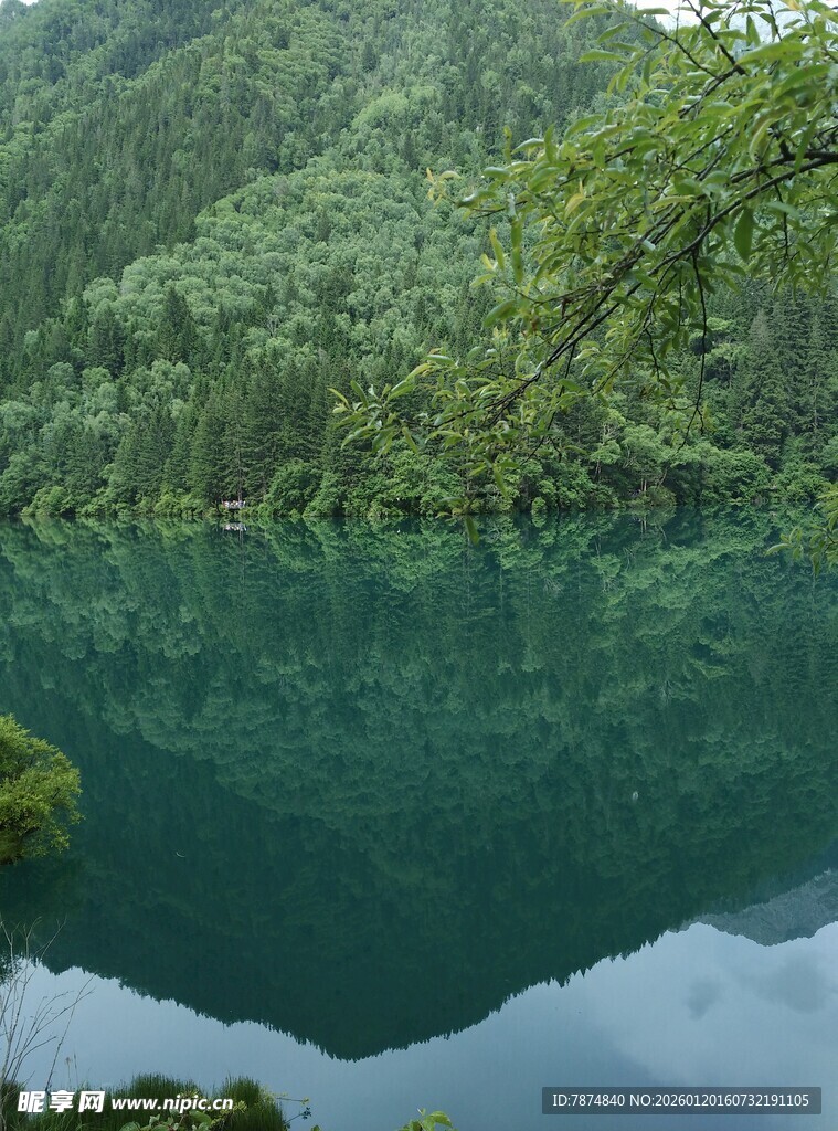 翠绿山林间的幽蓝湖水