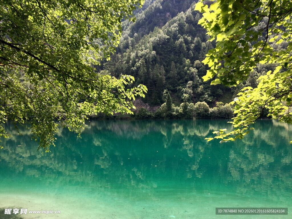 翠绿山林环抱的澄澈湖水