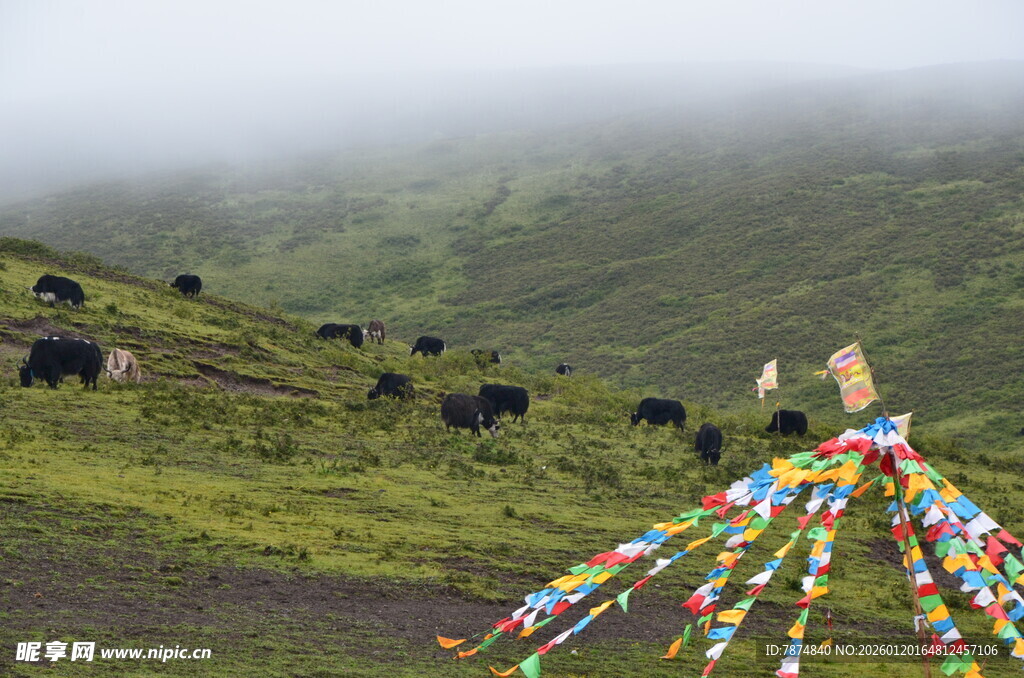 草原经幡与牧群