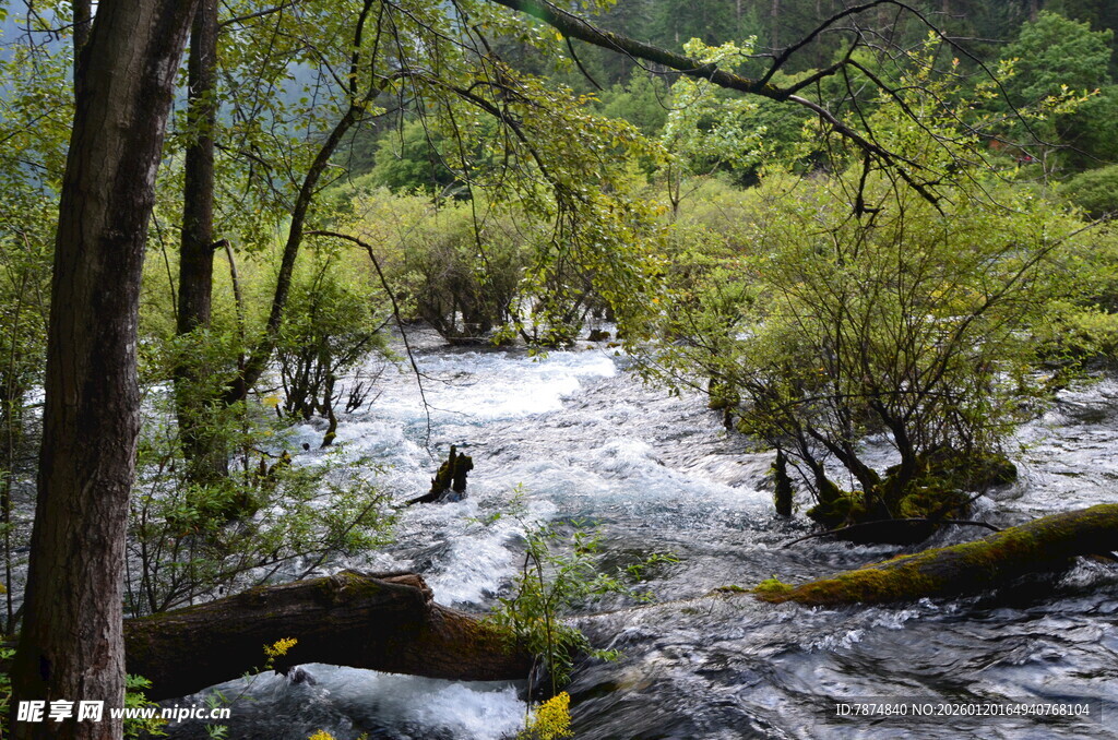 山间溪流的自然景致