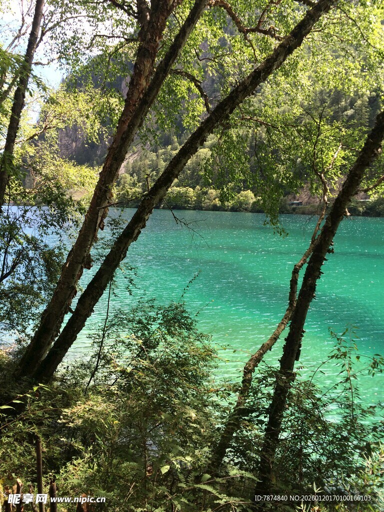 翠绿山林间的澄澈蓝湖
