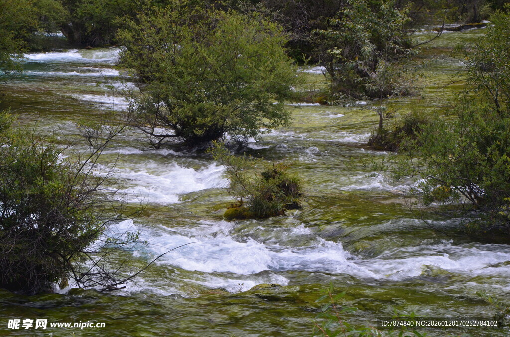 山间溪流与葱郁植被