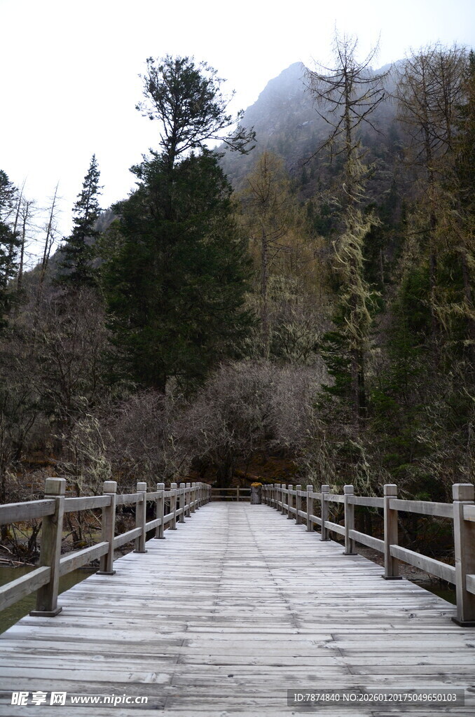 山间木桥 静谧自然之景
