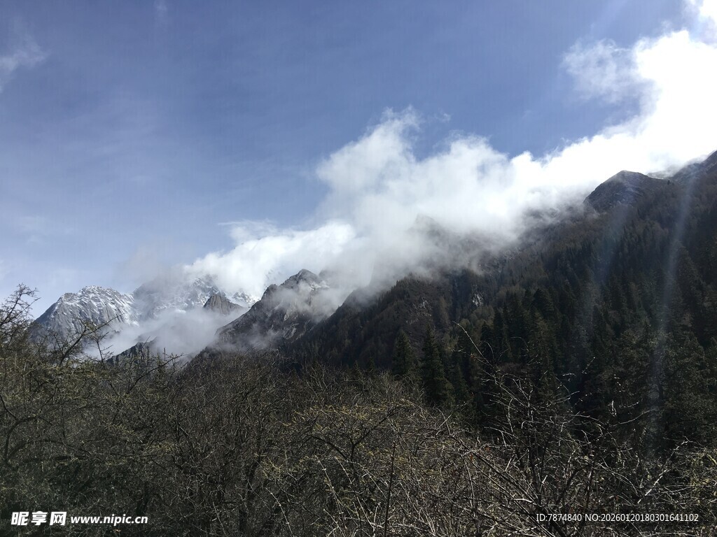 雪山云雾下的山林美景