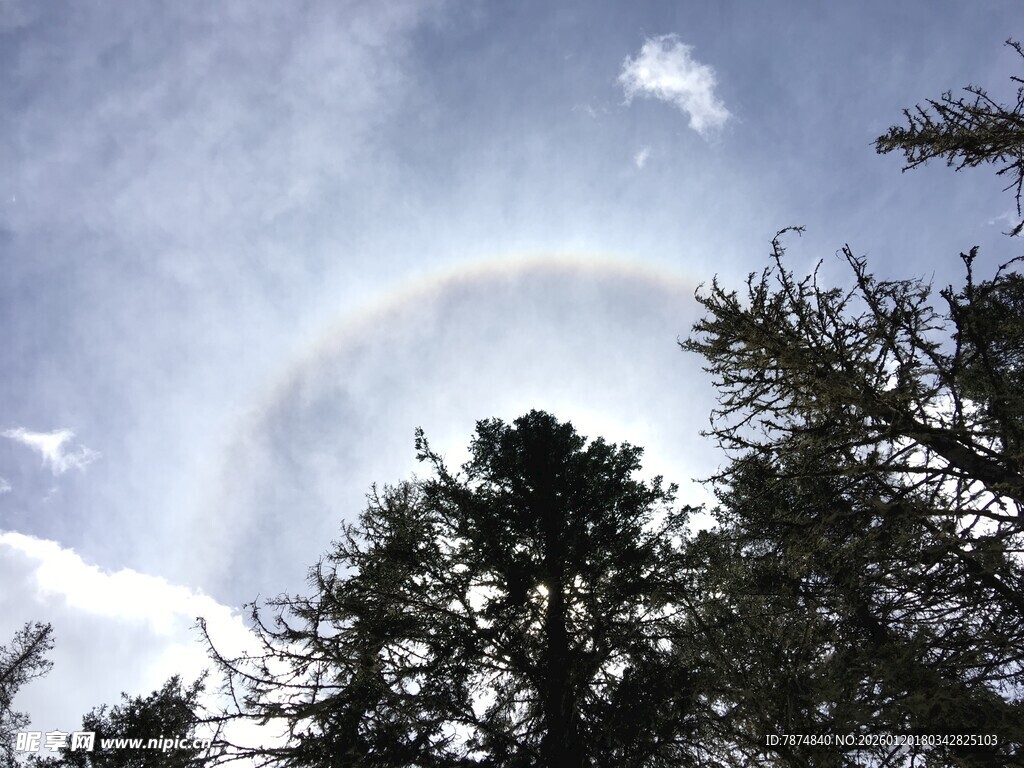 林间上空现美丽彩虹