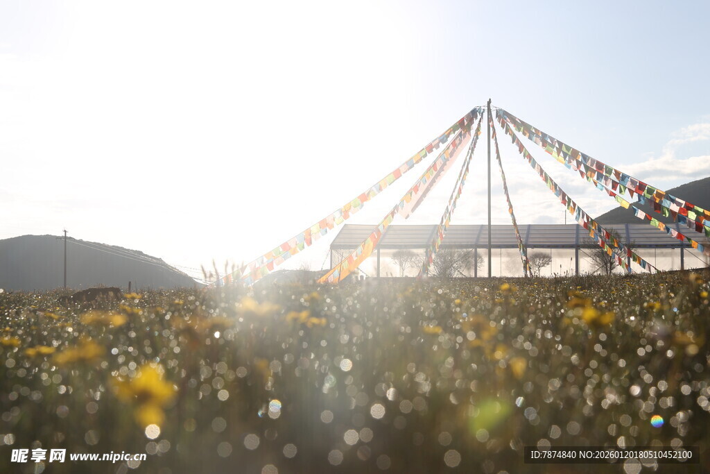 花海中的经幡与美丽光影