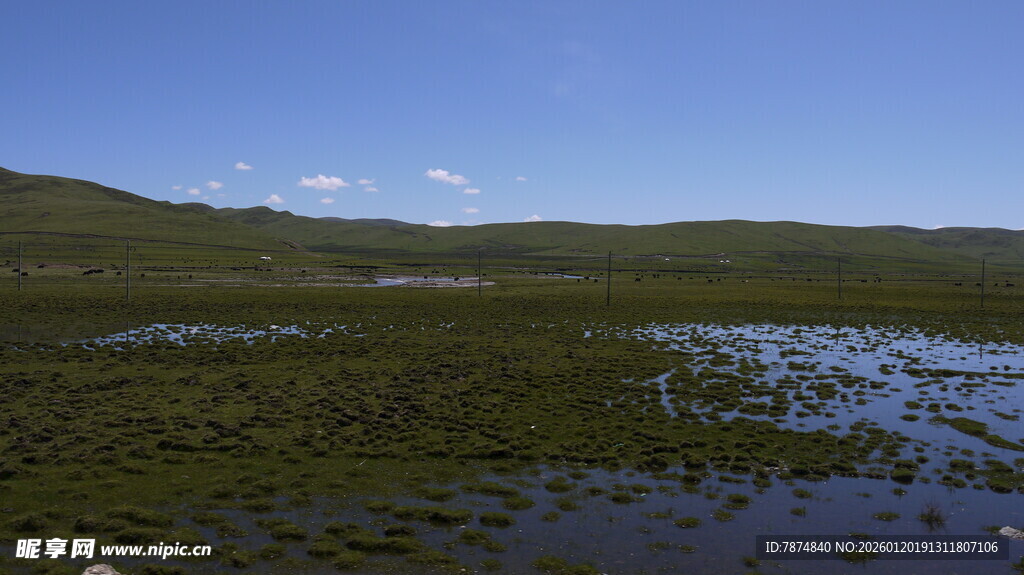 草原湿地风光