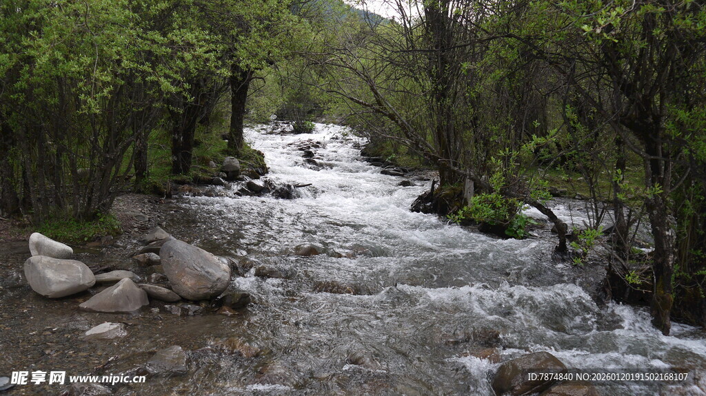 山间湍急溪流穿林而过