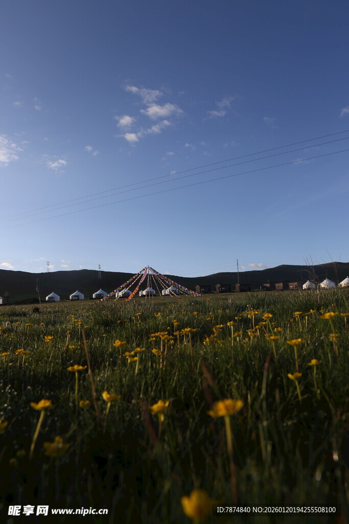 草原黄花蓝天美景如画