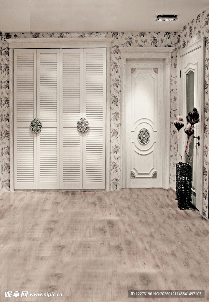 简约欧式风格室内门场景